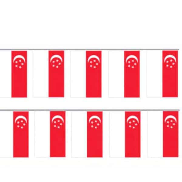 34b7e6b07b1875e3591cf815c86ac2e0 LOCAL SG SELLER Singapore NDP Mini Singapore Flag Banner Bunting (READY STOCK)